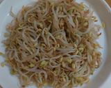 Foto langkah ke 1 dari resep Crunchy Tauge.