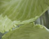 A picture of step 1 of Cumin potato in cabbage bowl.
