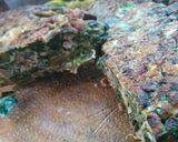 Foto del paso 3 de la receta: Tortilla de acelga y carne picada
