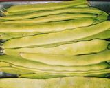 Foto del paso 3 de la receta: Judías verdes con patatas