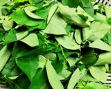 Hình bước làm 1 của món Canh Rau Bồ Ngót Nấu Thịt Bằm