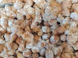 Kacang Kribo