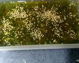 A picture of step 9 of Green Peas Burfi.