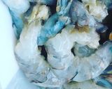 Hình bước làm 1 của món Cà ri Tôm kiểu Thái