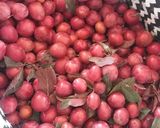 عکس مرحله 1 از دستور 🌳رب آلو طلایی 🌳