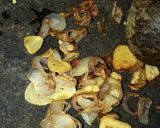 Foto langkah ke 2 dari resep Perkedel Kentang.