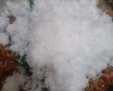 Foto langkah ke 1 dari resep Unti kelapa.