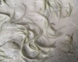Foto langkah ke 3 dari resep Creamy lemonilo.