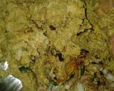 A picture of step 4 of Paneer Peanut & Raw banana Peel Nuggets.
