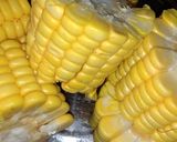 Foto langkah ke 2 dari resep Kerang putih saos tiram.