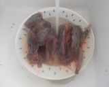Foto del paso 6 de la receta: Caldo de palomas torcaces