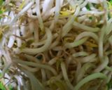 Foto langkah ke 1 dari resep Tumis Tauge Bunga Bawang.