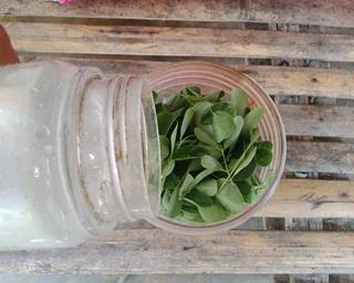 Cendol Daun Kelor Homemade - Step 1