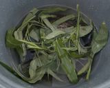 Foto langkah ke 3 dari resep Daging Sapi TAUCO tumis kangkung.