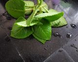 A picture of step 1 of Carom Leaves Puri.