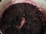 مربا و شربت تمشک🍇