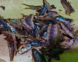 Foto langkah ke 2 dari resep Sambal klothok cinta (ikan asin).