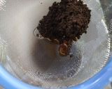 A picture of step 2 of Black Tea.