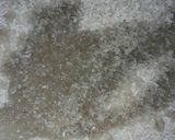 Foto del paso 2 de la receta: Arroz primavera