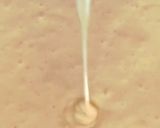 A picture of step 2 of Whole wheat eggless waffles.