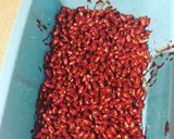 Foto del paso 4 de la receta: Barritas de arroz hinchado integral con cacao puro.Fit