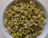સ્પ્રાઉટ મગ (Sprout Moong Recipe In Gujarati) રેસીપી સ્ટેપ1ફોટો