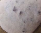 A picture of step 4 of Vedhami.