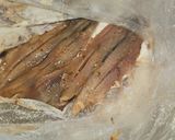 Foto del paso 5 de la receta: Pimiento de padrón adobados con boquerones