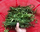 Hình bước làm 1 của món Nộm rau rớn thịt gà