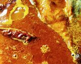 বোয়াল রসা ( boyal rosa recipe in bengali রেসিপি ধাপ - 8 ছবি