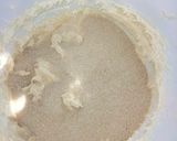 Foto del paso 2 de la receta: Garibaldi