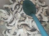 Crema de champiñones