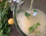 A picture of step 2 of Pineapple Mint Tang.