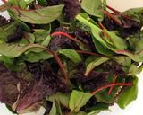 A picture of step 1 of Radish and Mushroom Mixed Leaf Salad,.