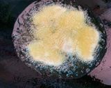 Foto langkah ke 1 dari resep 030. Chicken Salted Egg@ Ayam Telur Asin.