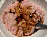 Foto del paso 4 de la receta: Gyozas de cerdo en Mambo Cecotec