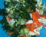 Crispy chicken rangoonsmatakin girki2 hoto