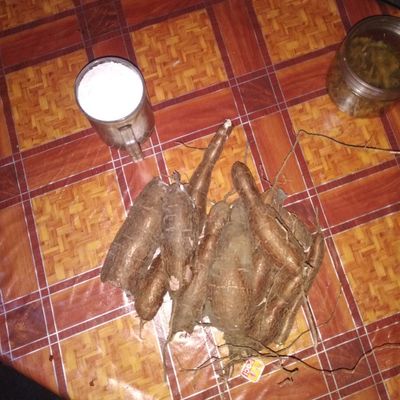 Langkah 1