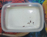 Foto del paso 2 de la receta: Bizcochito fitness al microondas