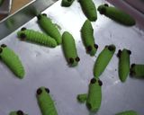 Foto langkah ke 6 dari resep Semprit Susu 3 bahan/Cartepillar Cookies(no mixer,no oven).