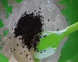 Foto langkah ke 3 dari resep Putu ayu moka meses.