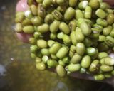 ફણગાવેલા મગ નું શાક રેસીપી સ્ટેપ1ફોટો