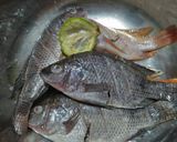 Foto langkah ke 1 dari resep Ikan bakar madu.