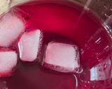 Foto del paso 4 de la receta: Tereré de hibisco endulzado con glicina 🌺 Infusión fresca antinflamatoria de yerba mate e hibiscus