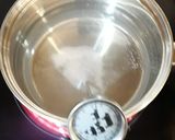 Foto del paso 2 de la receta: Agua con cristales de aloe vera "medicinal"