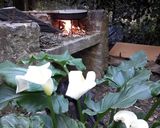 Foto del paso 1 de la receta: Pollo al disco fácil y saludable!