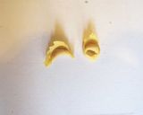 Foto del passaggio 11 della ricetta Tortellini più buoni del mondo