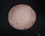 Foto langkah ke 4 dari resep Pancake Milo.