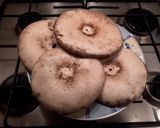 Őzlábgombás rántotta recept fázis 1 fotója