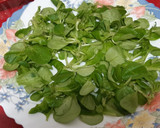 Foto del paso 3 de la receta: Boquerones en vinagre en ensalada de canónigos y cherries
